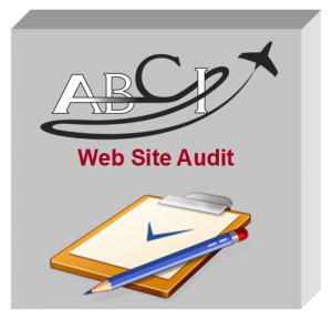 Web Site Audit Service