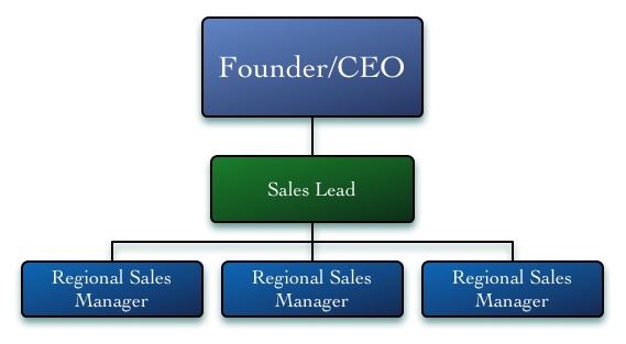 Sales & Marketing Org Structures- Sales Team Regional