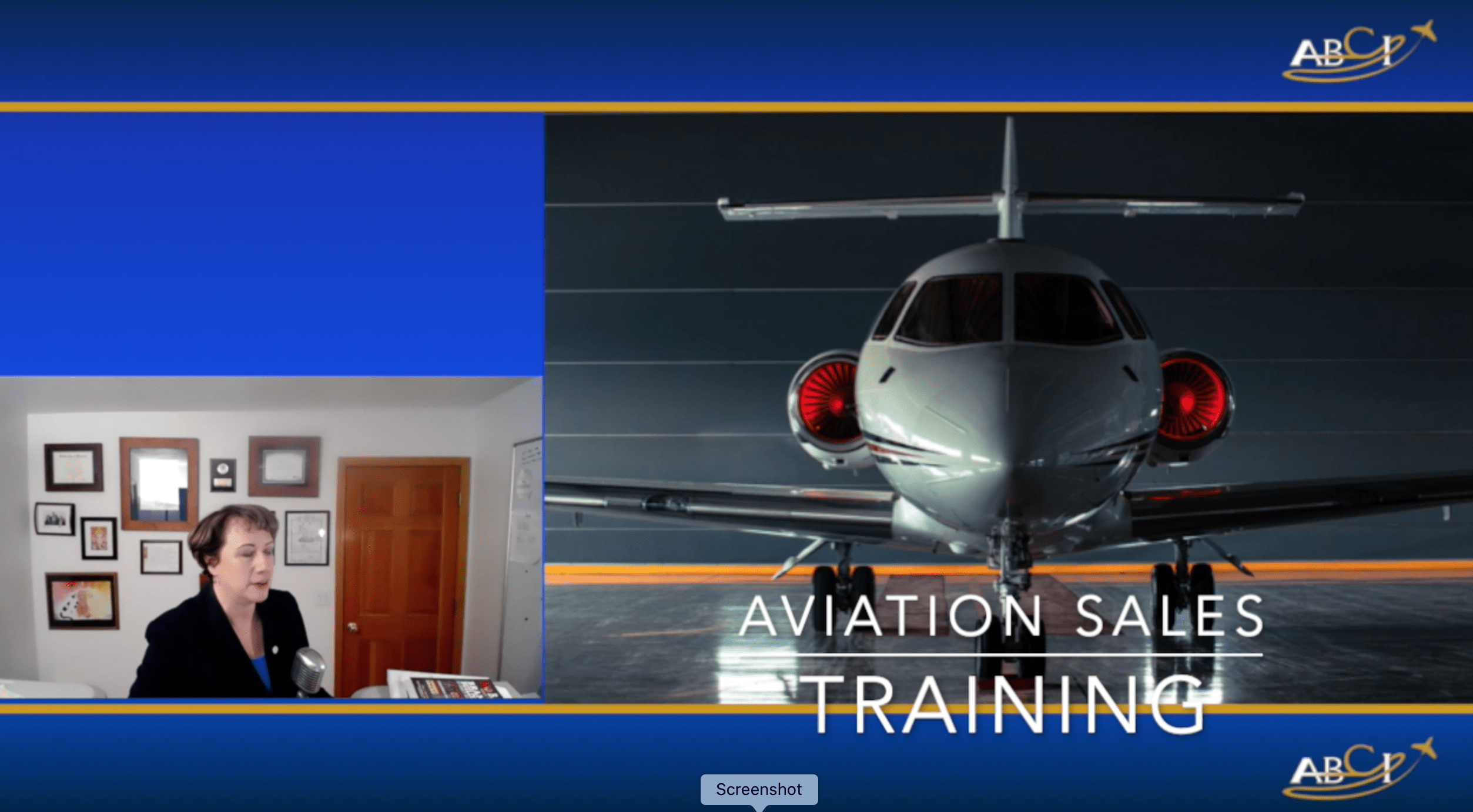 Aviation Sales Training